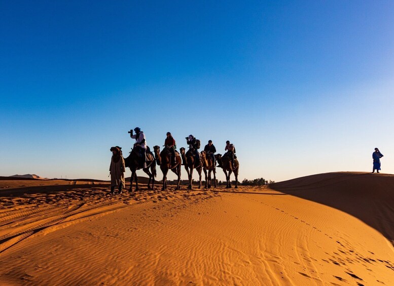 Picture 10 for Activity From Fes: 4-Day Trip to Marrakech via Merzouga with Lodging