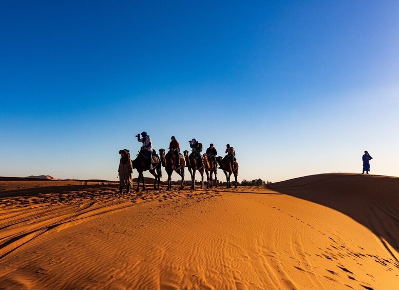 Picture 2 for Activity From Fes: 4-Day Trip to Marrakech via Merzouga & Gorges