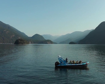 Vancouver: Granite Falls Zodiac Boat Tour
