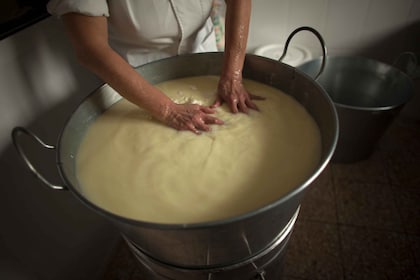 Tour della produzione e degustazione del formaggio da Cagliari con pranzo