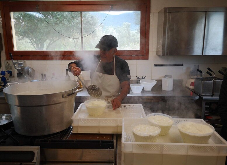 Picture 2 for Activity Cheese Making and Tasting Tour from Cagliari with Lunch