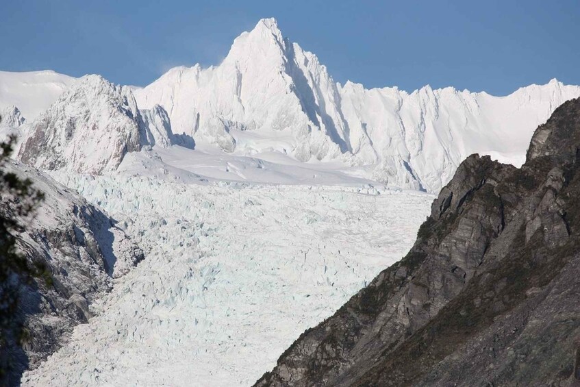 Picture 2 for Activity Fox Glacier: Half Day Walking & Nature Tour with Local Guide