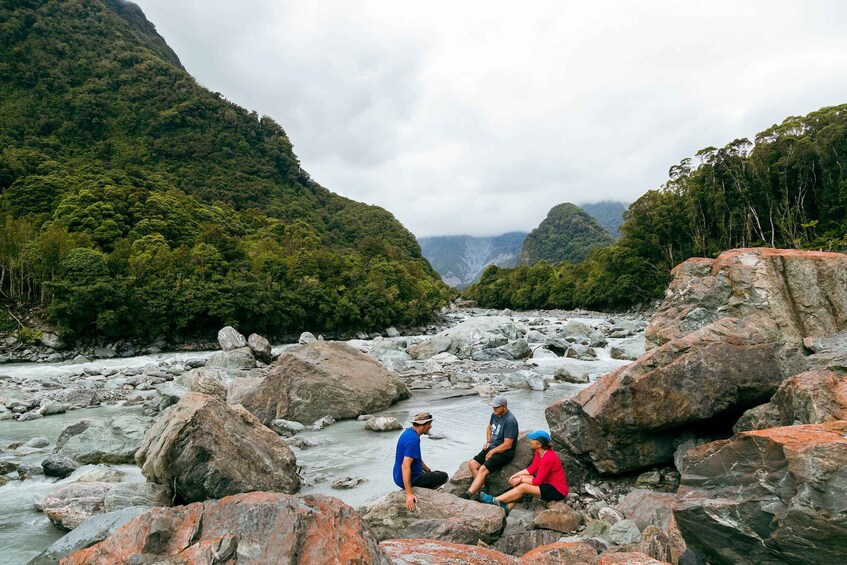 Picture 3 for Activity Fox Glacier: Half Day Walking & Nature Tour with Local Guide