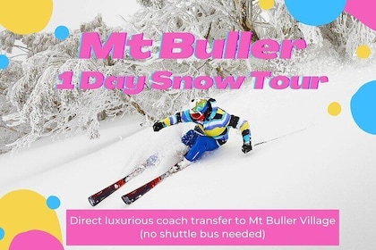 Mt Buller 1 Day Snow Tour (Direct Transfer To Mt Buller Village From Melbou...