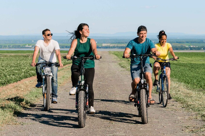 Picture 9 for Activity Quebec City: Ile d'Orléans Guided E-Bike Tour with Tastings