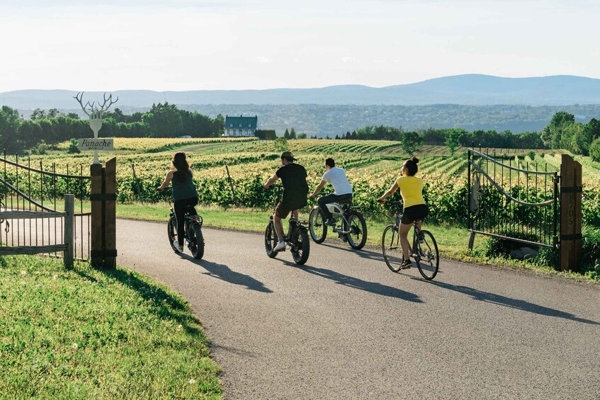 Picture 1 for Activity Quebec City: Ile d'Orléans Guided E-Bike Tour with Tastings