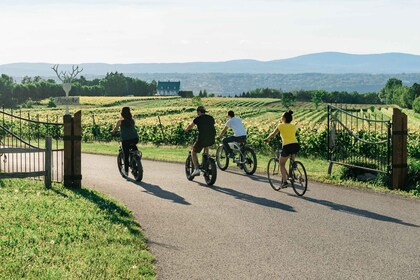 Québec : Location de vélos électriques sur l’île d’Orléans