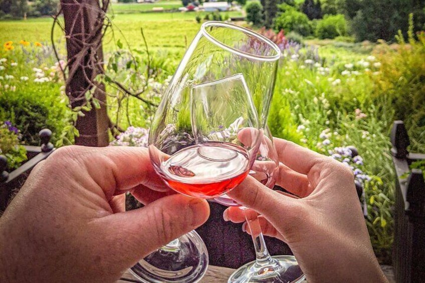 Tasting Rosé at Ancient Hills Winery 