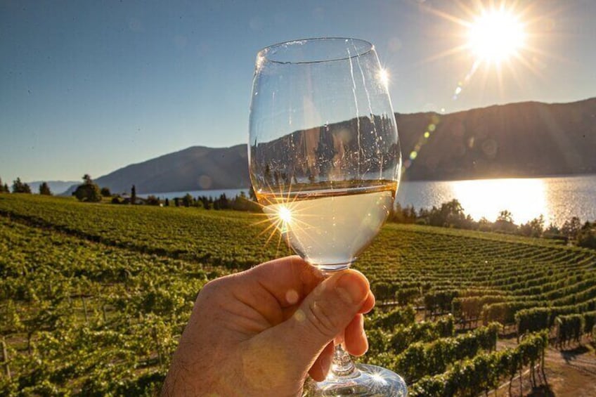 Sunset over the vineyard at Gray Monk Estate Winery