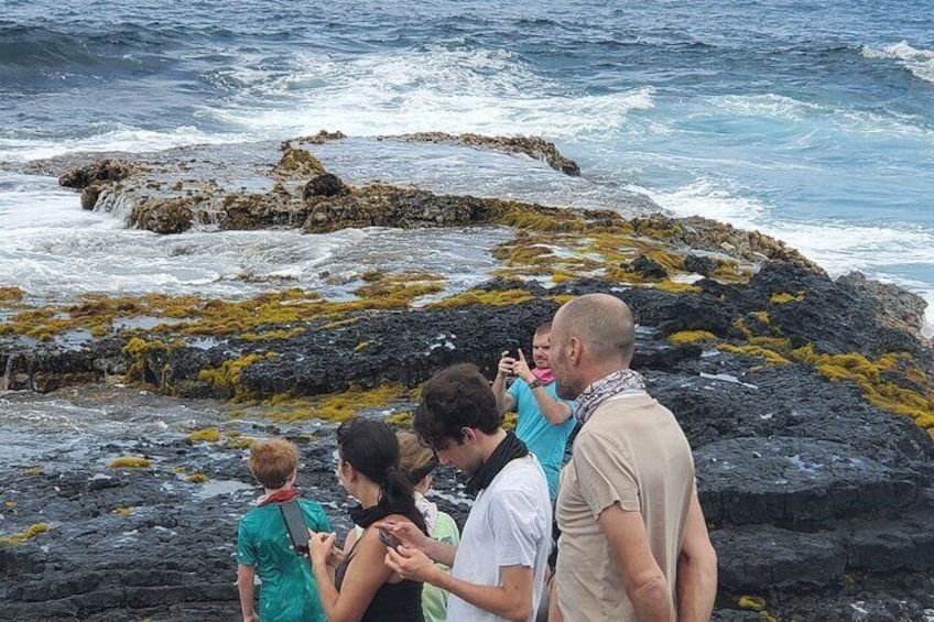 Family enjoying the view.