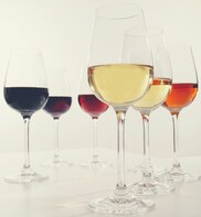 Private Daytrip: Sherry Winery & Historical Jerez from Cádiz