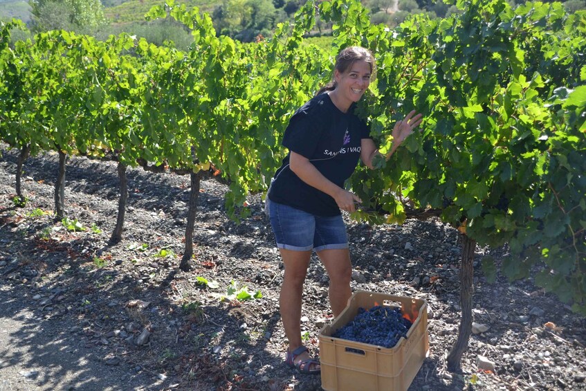 Picture 4 for Activity Salou: Bike Tour with Wine Tasting