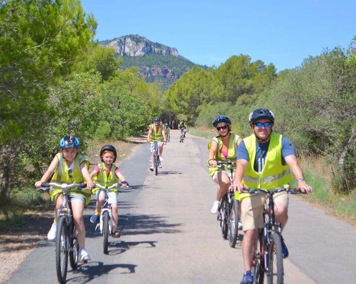 Picture 1 for Activity Salou: Bike Tour with Wine Tasting