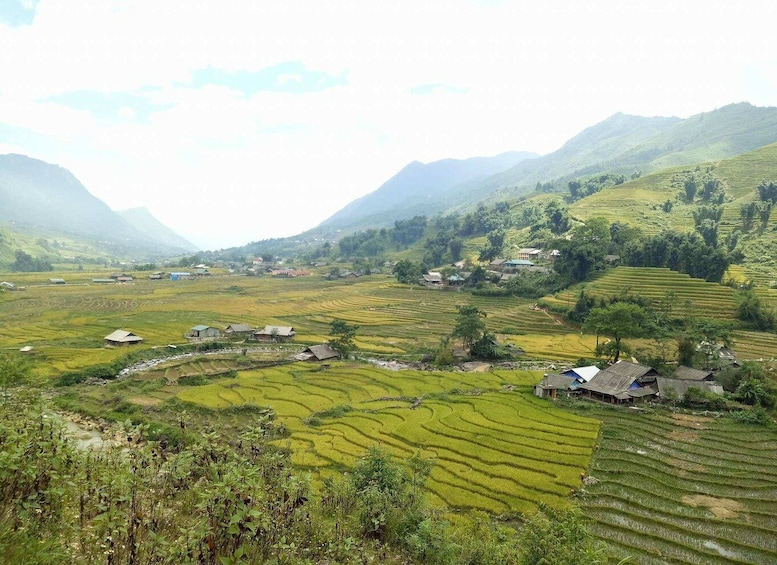 Picture 6 for Activity Sa Pa: Muong Hoa Valley Trek and Local Ethnic Villages Tour