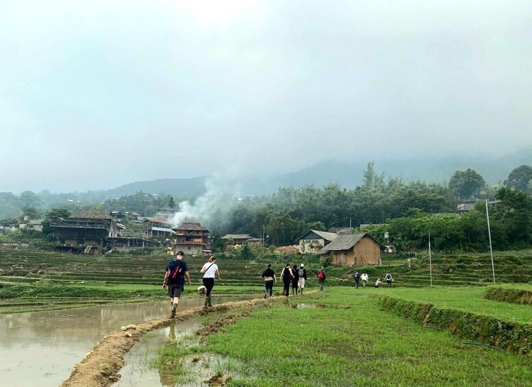 Picture 10 for Activity Sa Pa: Muong Hoa Valley Trek and Local Ethnic Villages