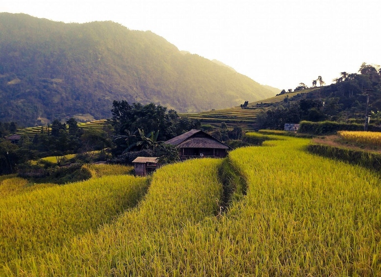 Picture 9 for Activity Sa Pa: Muong Hoa Valley Trek and Local Ethnic Villages Tour