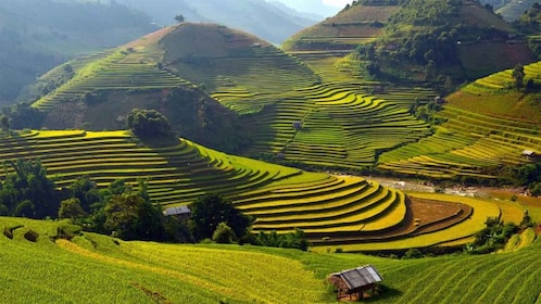 Sa Pa: Muong Hoa Valley Trek and Local Ethnic Villages Tour