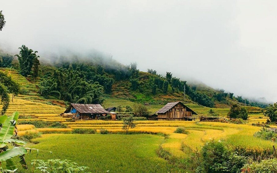 Picture 12 for Activity SaPa Muong Hoa valley trek and Local ethnic Villages