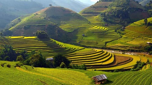 Sa Pa: Muong Hoa Valley Trek and Local Ethnic Villages