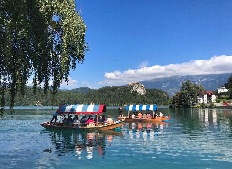 Picture 4 for Activity From Porec: Alpine Jewel Lake Bled