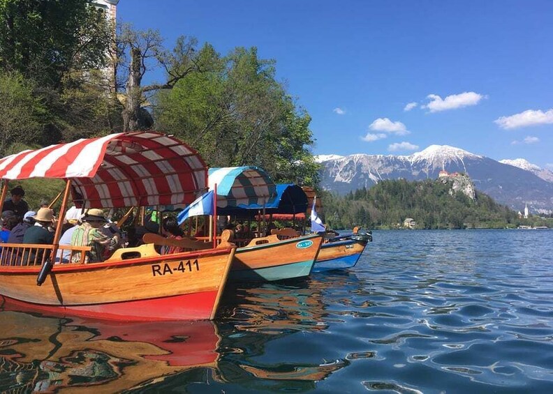 Picture 3 for Activity From Porec: Alpine Jewel Lake Bled