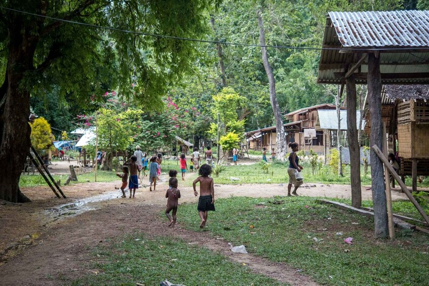 Picture 3 for Activity From Puerto Princesa: Trek to Batak Tribe Village