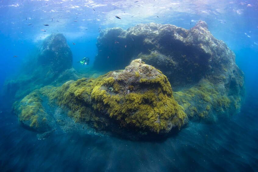 Picture 6 for Activity La Palma: SSI Try Scuba Program