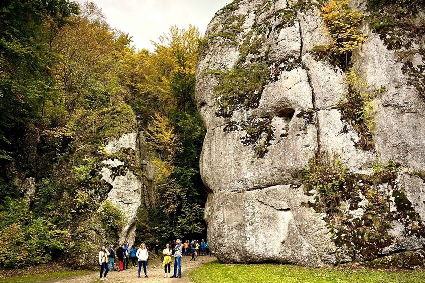 Picture 5 for Activity Krakow: Ojców National Park & Ogrodzieniec Private Tour