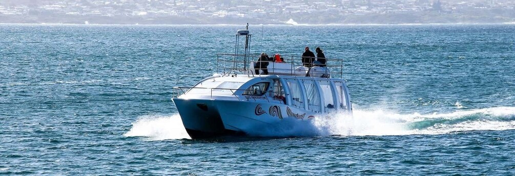 Picture 5 for Activity Hermanus: Boat Based Whale Watching Experience