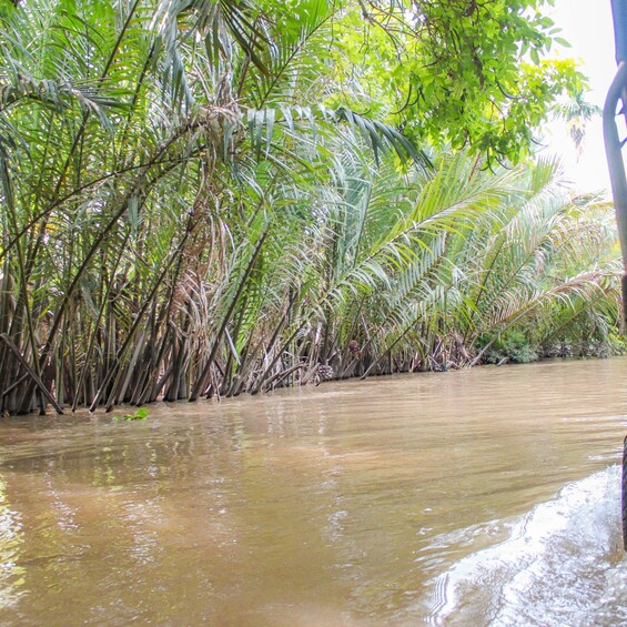 Picture 18 for Activity Mekong Delta: My Tho & Ben Tre Full-Day Trip in Small Group