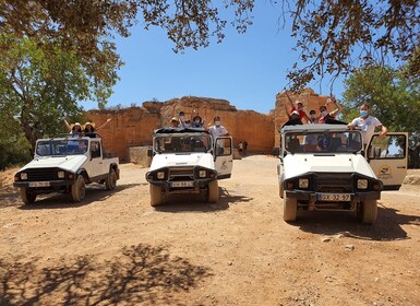 Albufeira: Safari-utflykt i Algarves berg