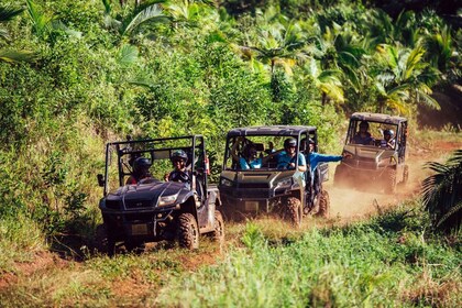 Mauricio: paseo en buggy por la reserva natural de Bel Ombre