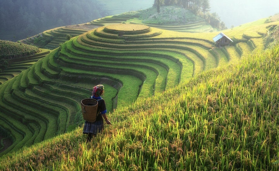 Picture 9 for Activity From Hanoi: Explore Sapa 2-Day Tour