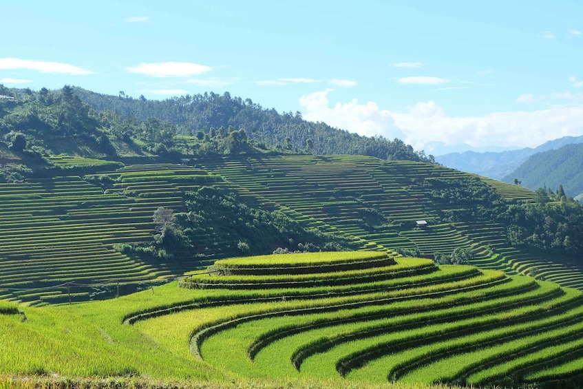 Picture 5 for Activity From Hanoi: Explore Sapa 2-Day Tour