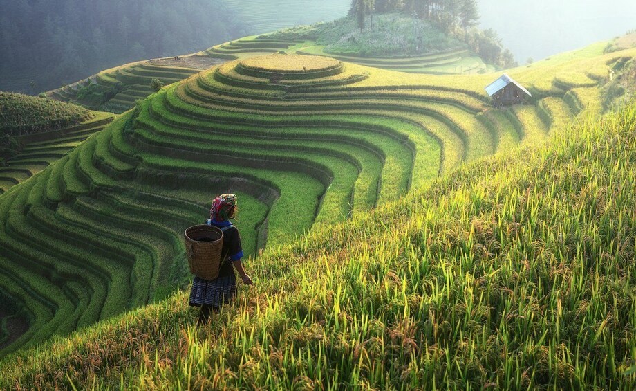 Picture 9 for Activity From Hanoi: Explore Sapa 2-Day Tour