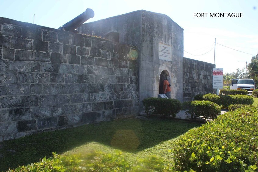 Picture 4 for Activity Nassau: Private and Personalized Island Tour