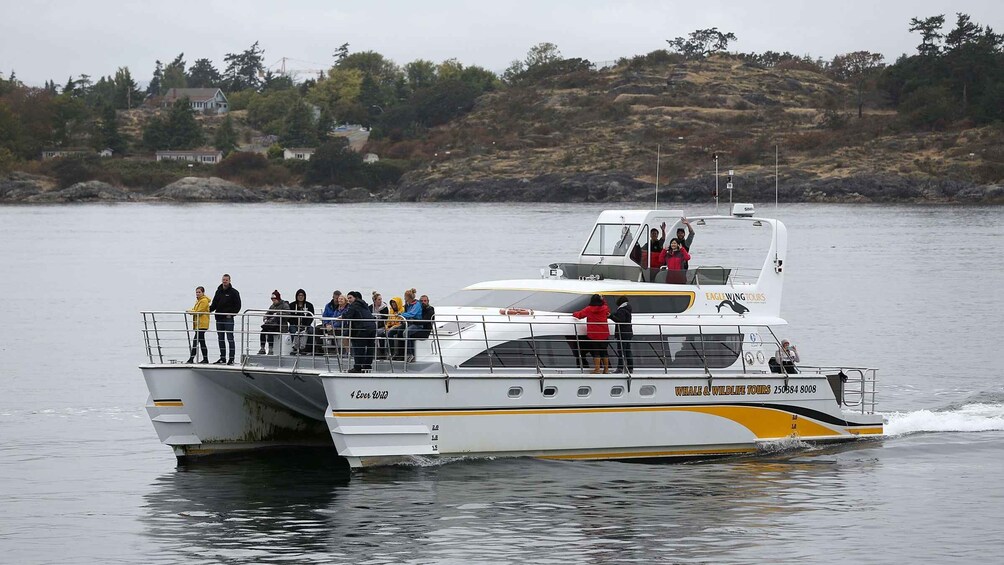 Picture 9 for Activity Victoria: Whale and Wildlife Semi-Covered Boating Tour