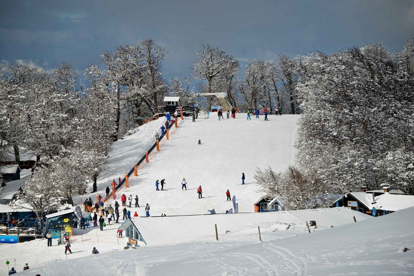 Picture 8 for Activity Bariloche: Villa La Angostura and Bayo Hill Guided Day-Trip