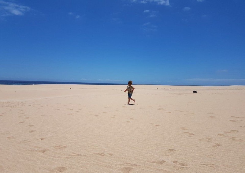 Picture 3 for Activity From Lanzarote: Fuerteventura Day Trip