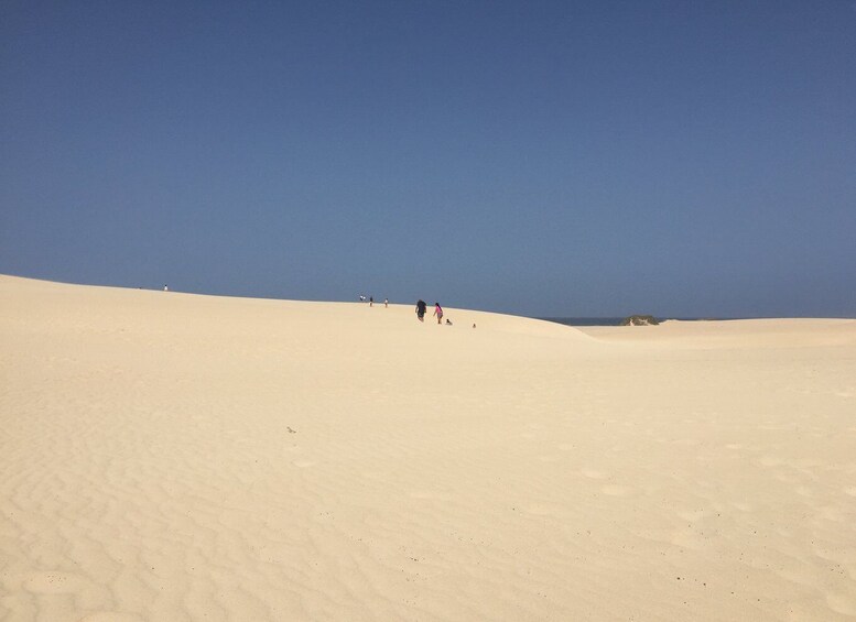 Picture 1 for Activity From Lanzarote: Fuerteventura Day Trip