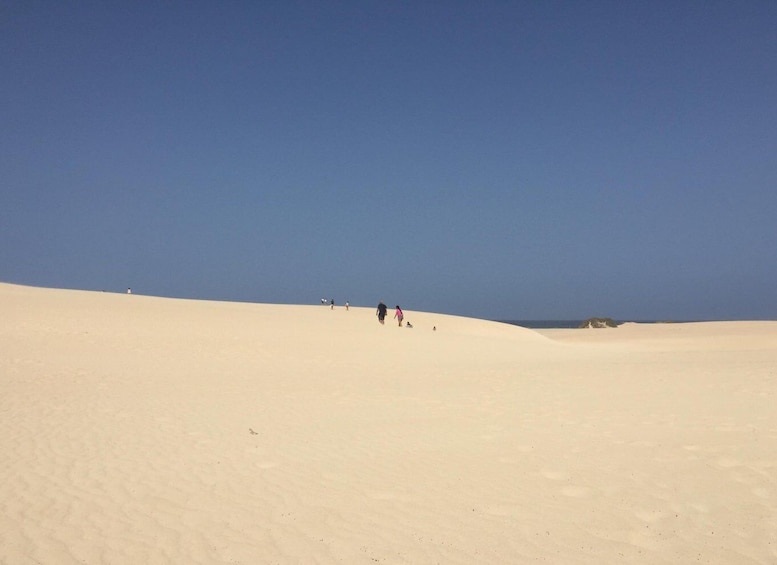 Picture 1 for Activity From Lanzarote: Fuerteventura Day Trip