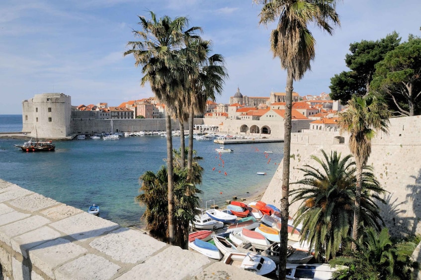 Picture 6 for Activity Dubrovnik: Discover Game of Thrones Filming Locations