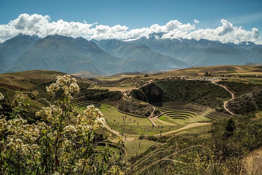 Picture 9 for Activity From Cusco: Full-Day Private Sacred Valley of the Incas Trip