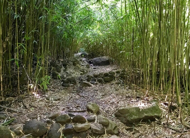 Maui: Jungle and Waterfall Hiking Adventure