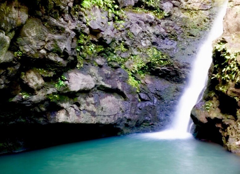 Picture 1 for Activity Maui: Jungle and Waterfall Hiking Adventure