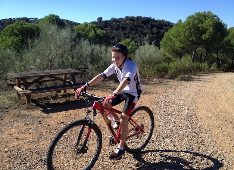 Picture 3 for Activity From Seville: Half-Day Guided Bike Trip to Italica