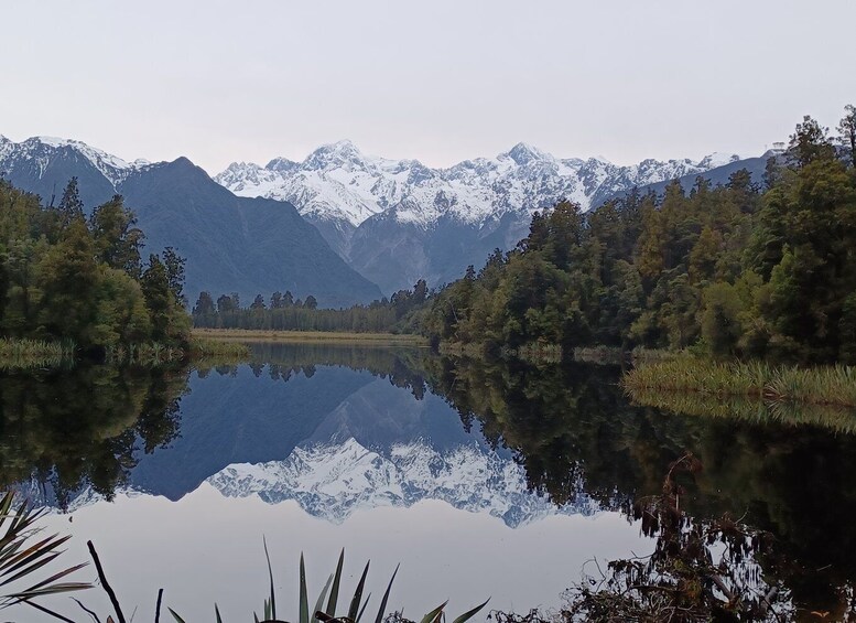 Picture 2 for Activity Franz Josef: Half-Day Nature Tour to Lake Matheson