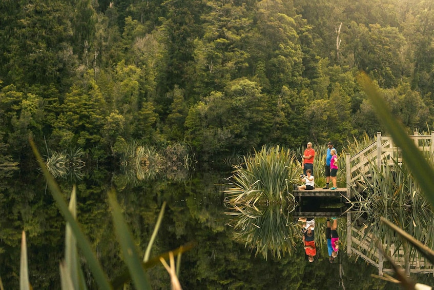 Picture 7 for Activity Franz Josef: Half-Day Nature Tour to Lake Matheson