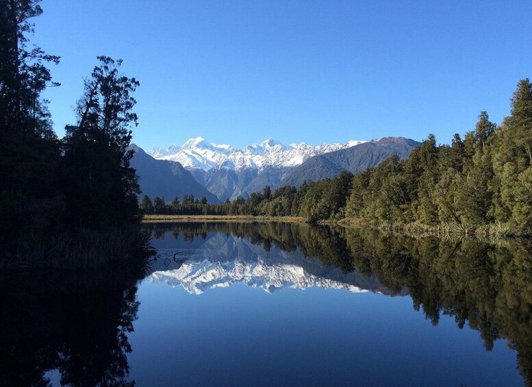 Picture 3 for Activity Franz Josef: Half-Day Nature Tour to Lake Matheson