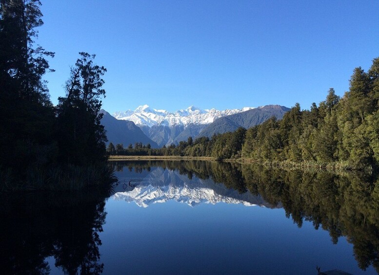 Picture 3 for Activity Franz Josef: Half-Day Nature Tour to Lake Matheson